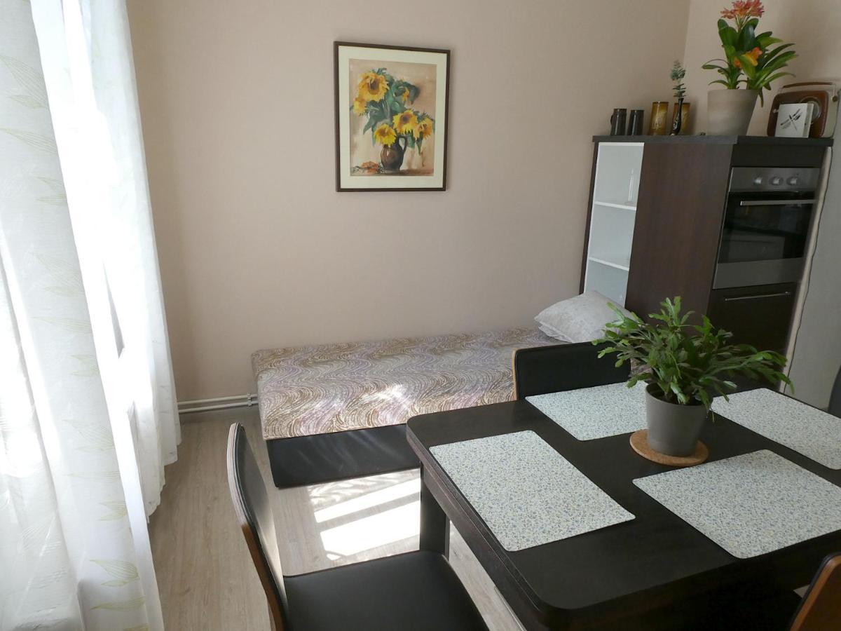 Apartman Marenka 노베 메스토 나 모라베 외부 사진