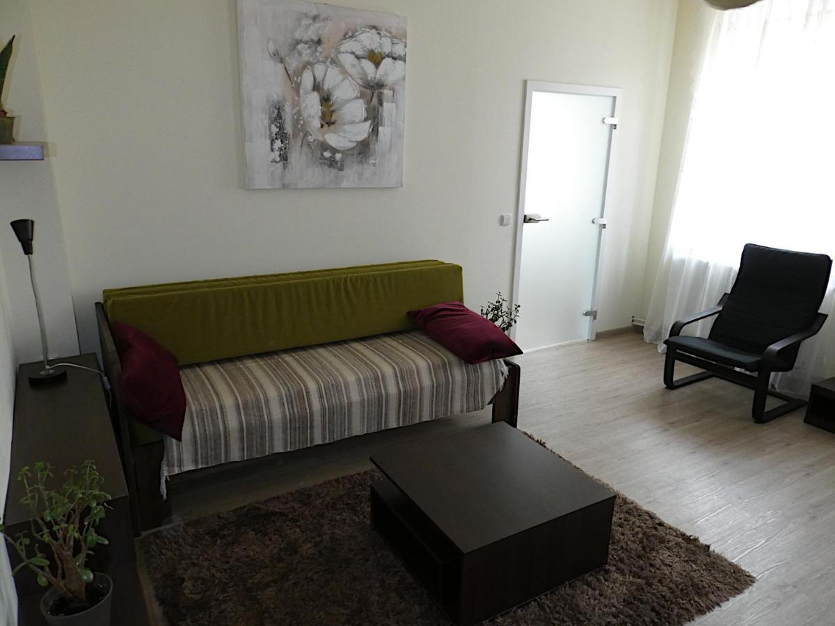 Apartman Marenka 노베 메스토 나 모라베 외부 사진